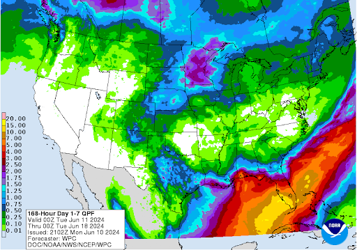 Total rainfall forecasted for the next seven days (6/10/2024 - 6/18/2024)