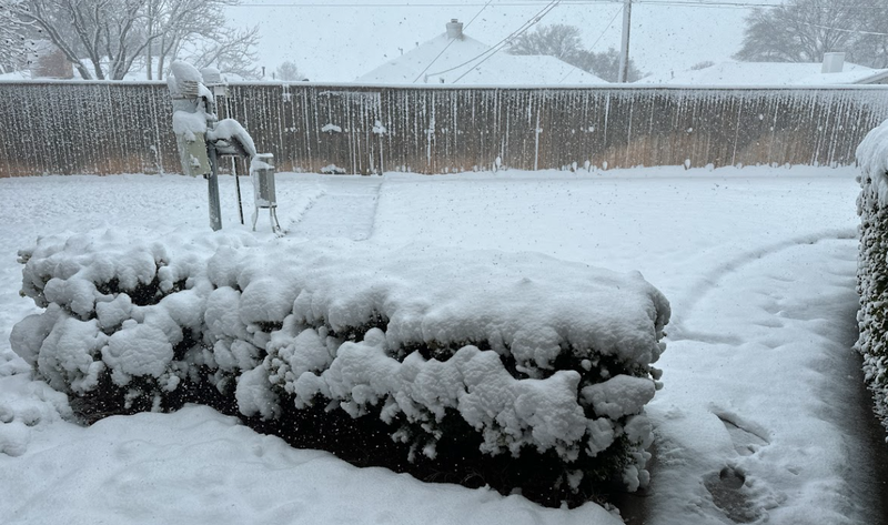 Snow in CWA Lubbock, TX